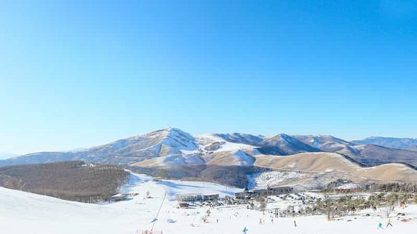 【新宿朝発】ぶっとび!日帰りスキー&スノボ|白樺湖ロイヤルヒルスキー場(リフト券付)1